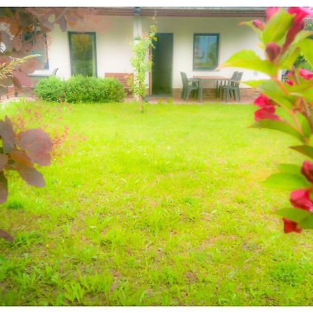 Appartement Birgla ラムサウ・イム・ツィラータール エクステリア 写真