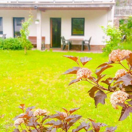 Appartement Birgla ラムサウ・イム・ツィラータール エクステリア 写真