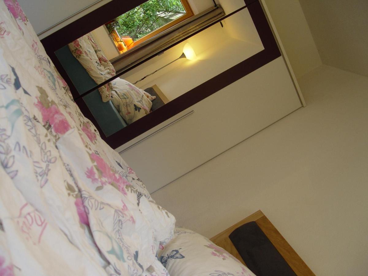 Appartement Birgla ラムサウ・イム・ツィラータール エクステリア 写真