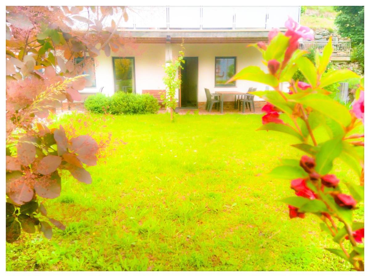 Appartement Birgla ラムサウ・イム・ツィラータール エクステリア 写真