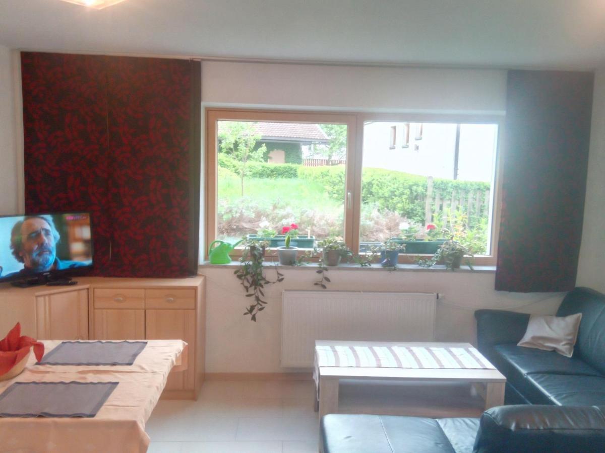Appartement Birgla ラムサウ・イム・ツィラータール エクステリア 写真